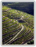 table des mill&eacute;simes Portugal