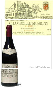 Domaine Roblot-Marchand - 1er Cru