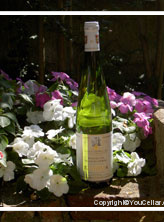 Domaine Kientzler - Grand Cru Osterberg