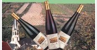 Cave de Turckheim - Pinot Gris