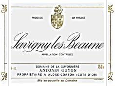 Antonin Guyon