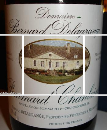 Domaine Bernard Delagrange - 1er cru Chanlains