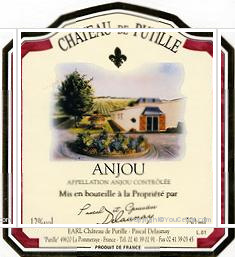 Château de Putille