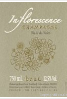Roses de Jeanne - Inflorescence