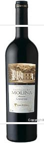 Castillo de Molina - Carmenere Reserva