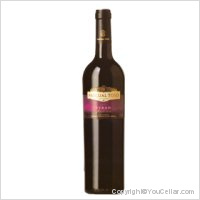 Pascual Toso - Syrah