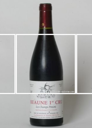 Domaine Guillemette et Xavier Besson - 1er Cru Les Champs Pimont
