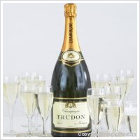 Trudon - Brut