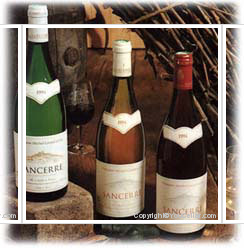 Domaine Michel Girard et Fils