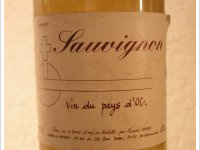 François Chasans - Sauvignon