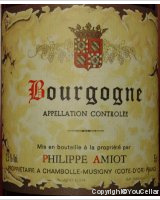 Philippe Amiot