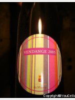 Vignerons de Maury - Vendange