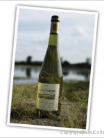 Domaine la Paonnerie - Sur Lie