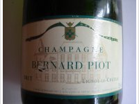 Bernard Piot