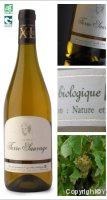 Terre Sauvage