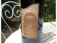 Esprit de Renaud de Valon