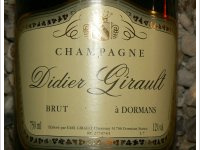 Didier Girault - Brut