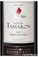 Altos de Tamarón Joven