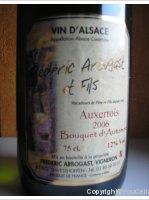 Frédéric Arbogast