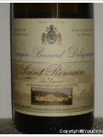 Domaine Bernard Delagrange