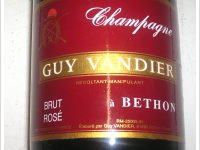Guy Vandier - Brut