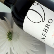 Finca Villacreces Nebro
