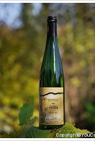 Domaine André Mauler - Cuvée André