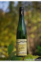 Domaine André Mauler - Muhlfors