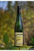 André Mauler Pinot Gris Rosenbourg