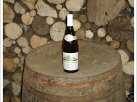 Maison Masson - La Croix de Pierre