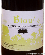 Mathieu Coste - Biau