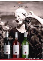 Vignerons de Lesquerde