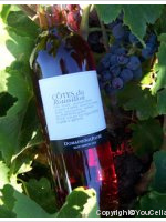 Domaine Sol Payré