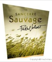 Pascal Jolivet - Sauvage