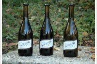 Benjamin Morel - Confidentiel  - Pinot Noir
