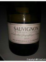 Régnier David - Sauvignon