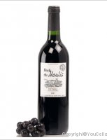 Pech du Moulis