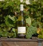 Domaine Cocteaux - Sauvignon