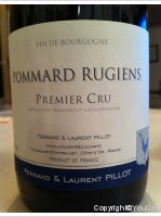 Domaine Fernand et Laurent Pillot - Rugiens