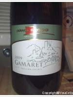 Gérard Raymond, Gamaret