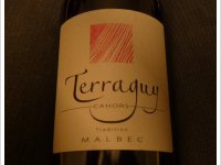 Terraguy