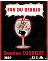 Damien Coquelet - Fou du Beaujo