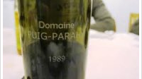 Domaine Puig-Parahÿ - Tuilé