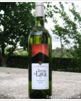 Terras de Lava