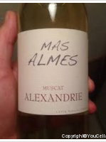Mas Almes - Alexandrie