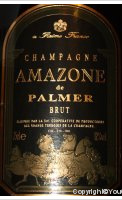 Amazone de Palmer, Brut