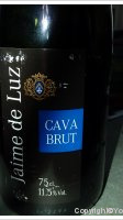 Jaime de Luz - Brut
