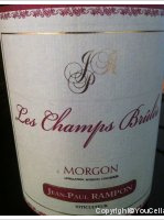 Jean-Paul Rampon - Les Champs Brûlés