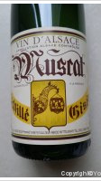 Schillé Gisie