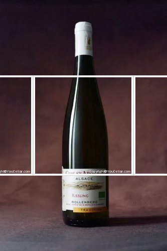 Bollenberg Clos Ste Apolline - cuvée tradition